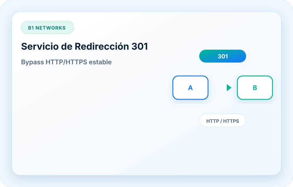 Visual del servicio B1 Networks