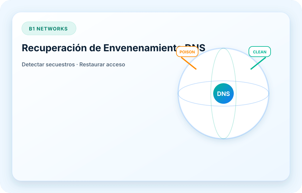 Visual del servicio B1 Networks