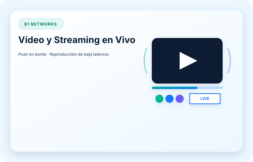 Visual del servicio B1 Networks