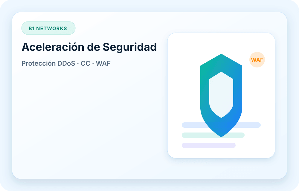 Visual del servicio B1 Networks