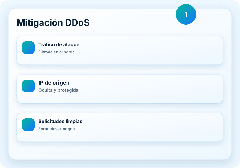 Visual del servicio B1 Networks