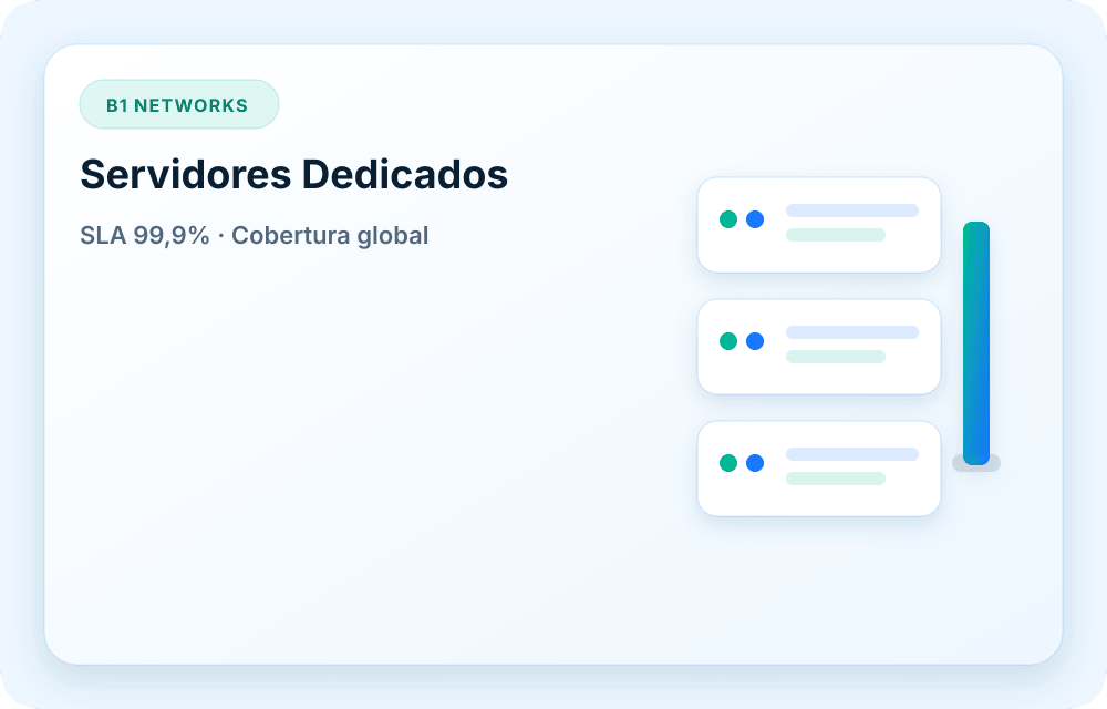 Visual del servicio B1 Networks