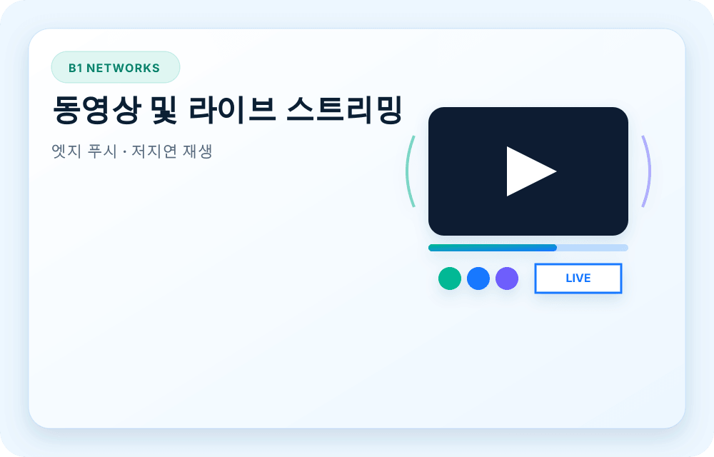 B1 Networks 서비스 이미지