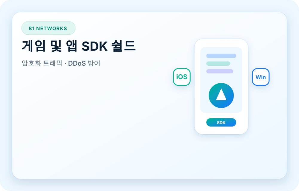 B1 Networks 서비스 이미지