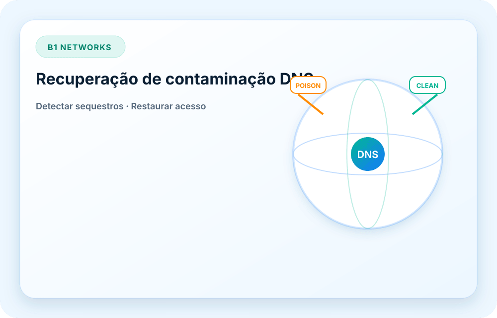 Visual do serviço B1 Networks