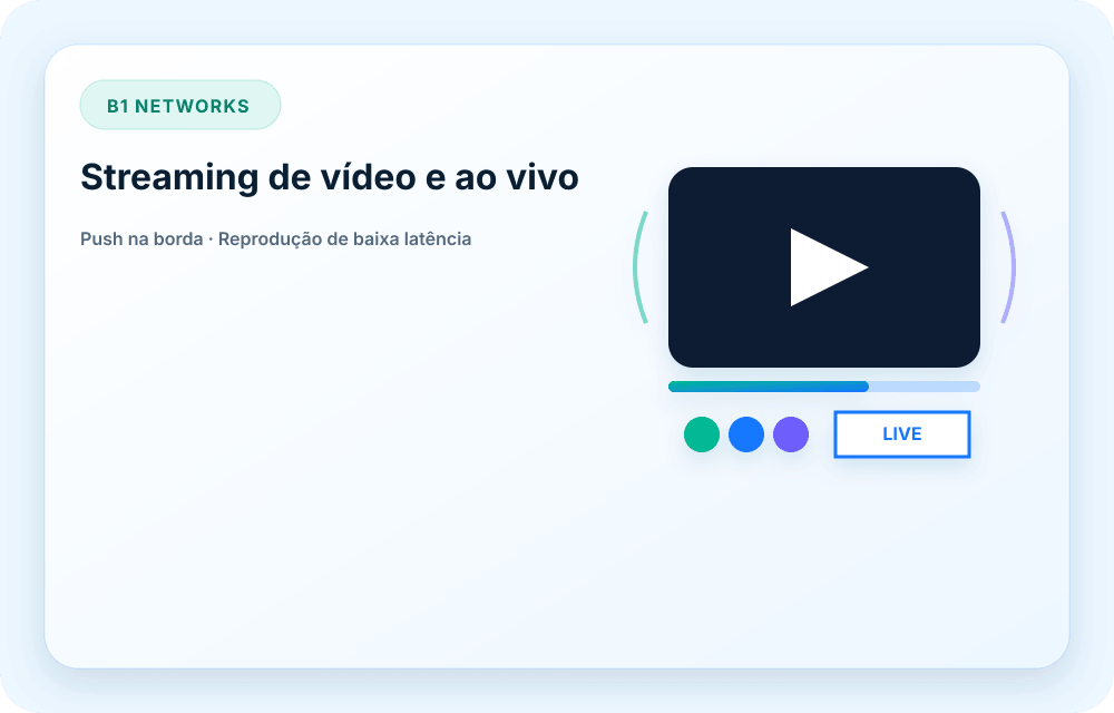 Visual do serviço B1 Networks