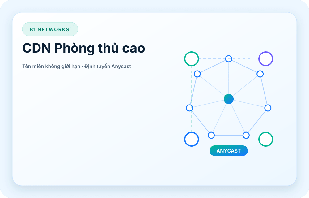 Hình ảnh dịch vụ B1 Networks