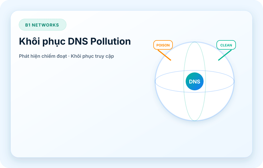 Hình ảnh dịch vụ B1 Networks