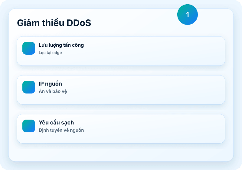 Hình ảnh dịch vụ B1 Networks