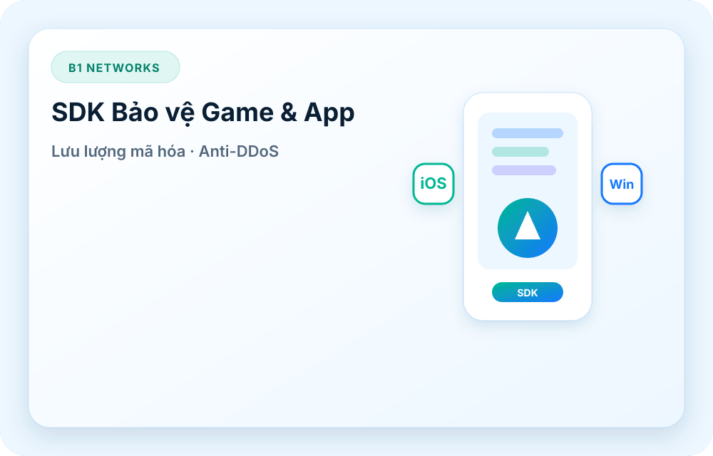 Hình ảnh dịch vụ B1 Networks