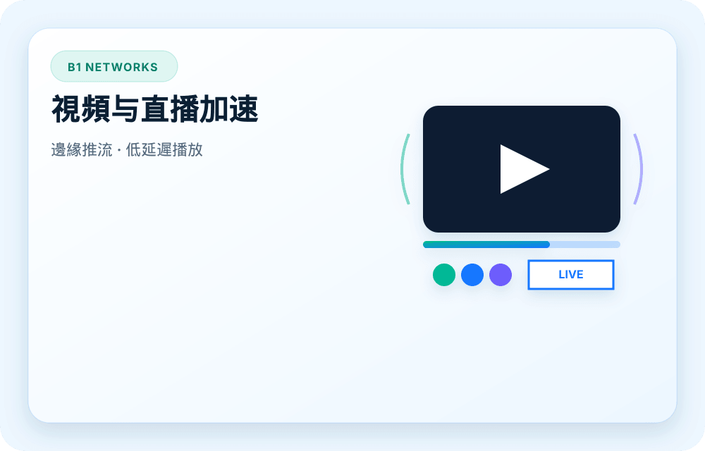 B1 Networks 服務視覺圖