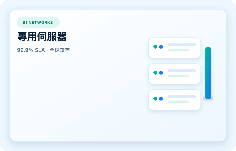 B1 Networks 服務視覺圖