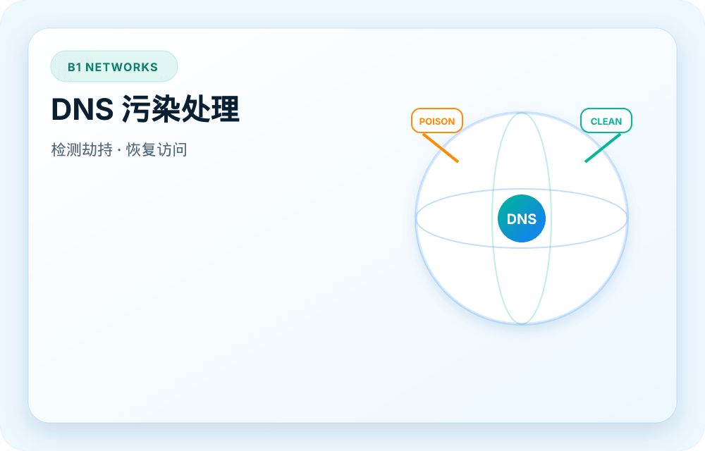 B1 Networks 服务视觉图