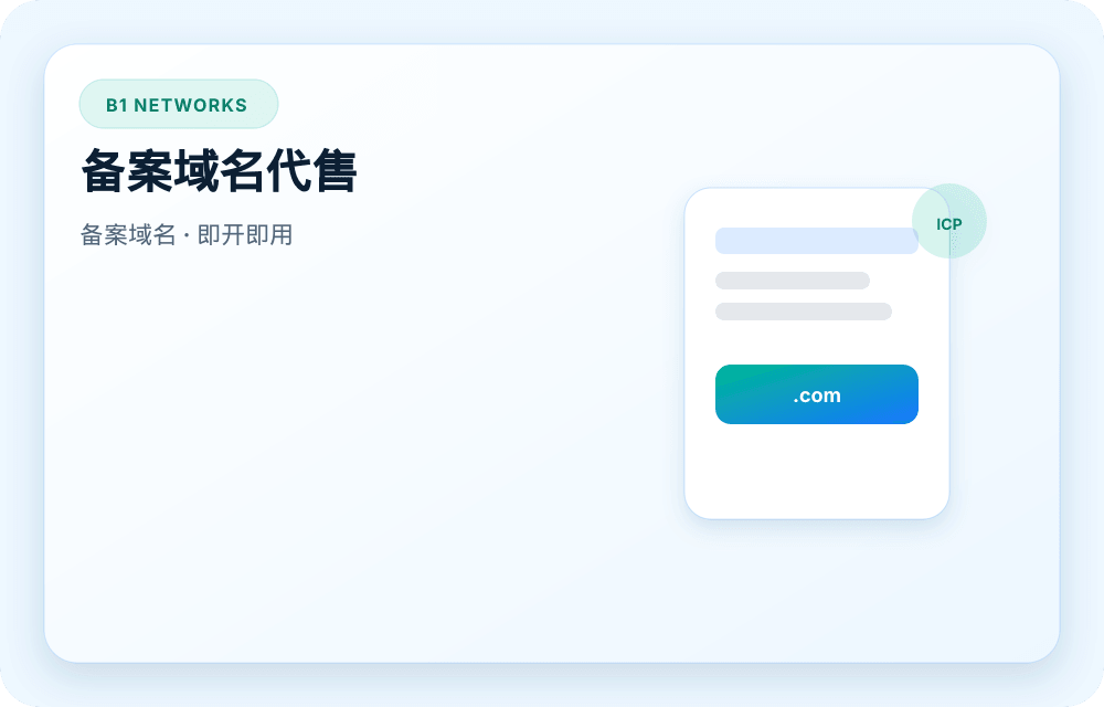 B1 Networks 服务视觉图