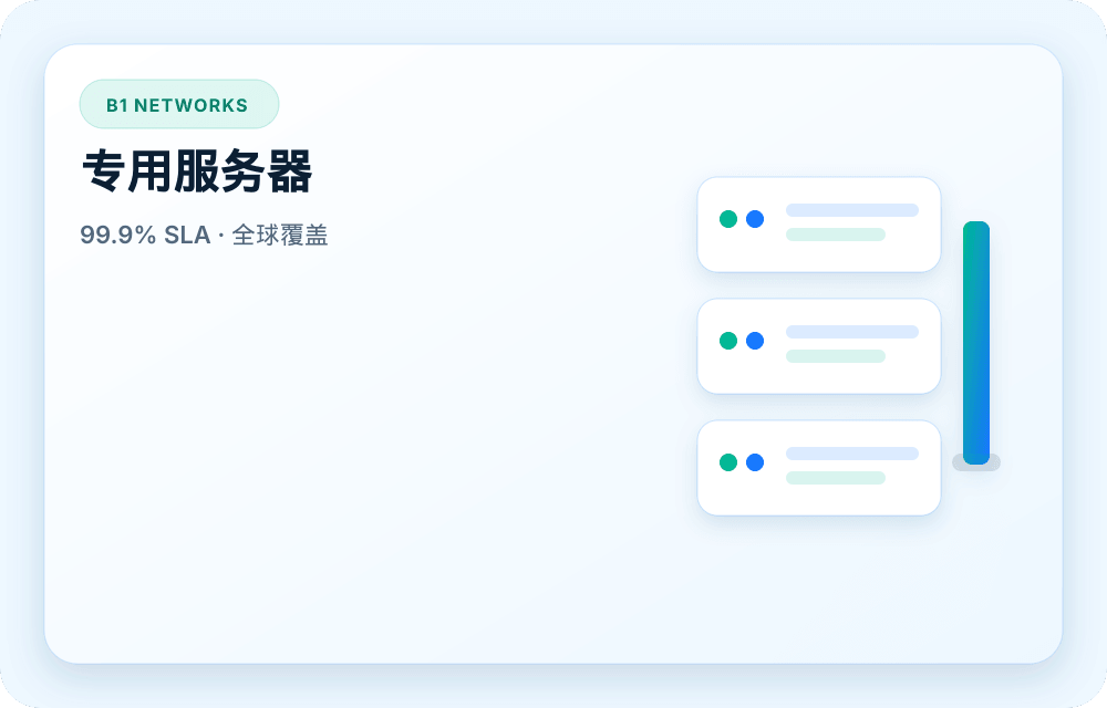 B1 Networks 服务视觉图